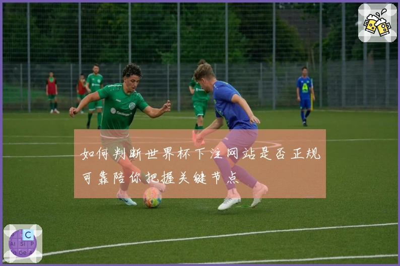 如何判断世界杯下注网站是否正规可靠陪你把握关键节点